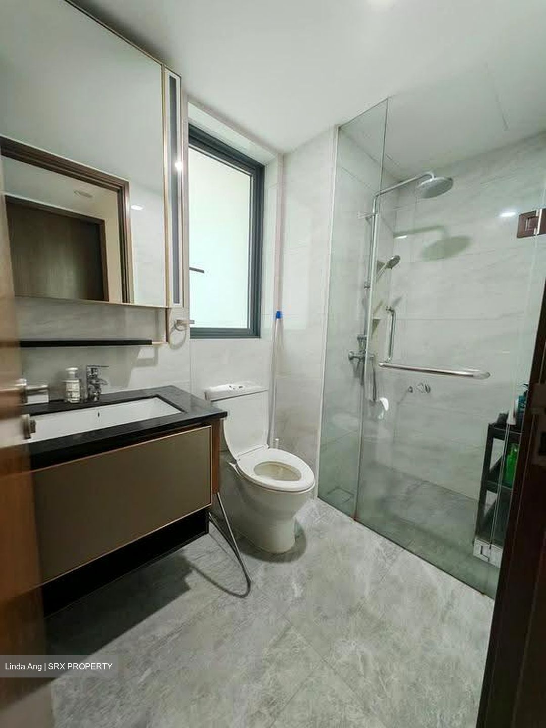 Normanton Park (D5), Apartment #631826431
